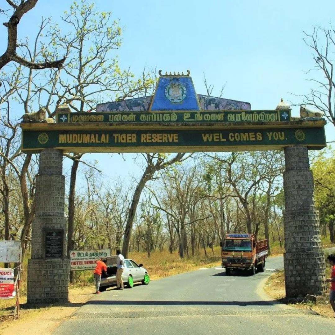 Reliable hourly cabs Dindigul